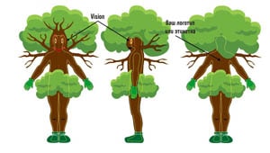 Эскиз ростовой куклы дерево, костюма дерева
