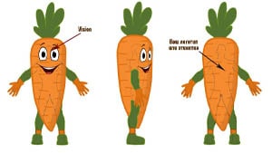 Эскиз ростовой куклы моркови, костюма морковь