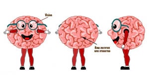 Эскиз ростовой куклы мозг, костюма мозга