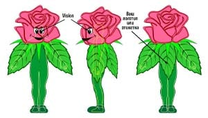 Эскиз ростовой куклы роза, костюма розы