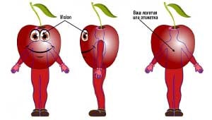 Эскиз ростовой куклы вишня, костюма вишни